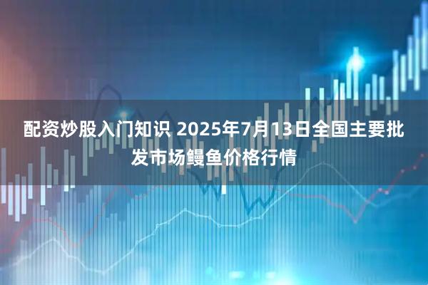 配资炒股入门知识 2025年7月13日全国主要批发市场鳗鱼价格行情