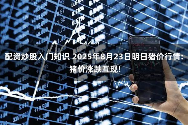 配资炒股入门知识 2025年8月23日明日猪价行情: 猪价涨跌互现!