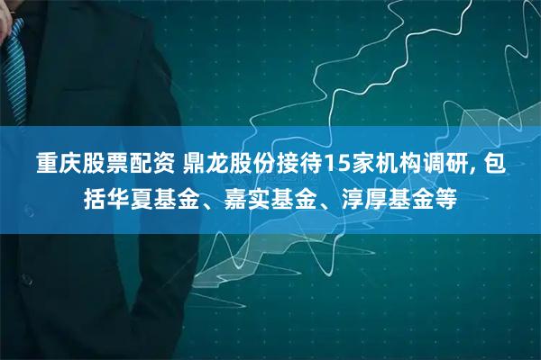 重庆股票配资 鼎龙股份接待15家机构调研, 包括华夏基金、嘉实基金、淳厚基金等
